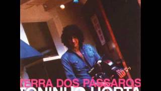 Toninho Horta - Beijo partido