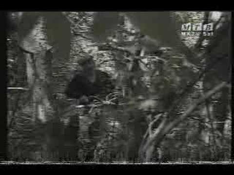 Dobri Stavrevski - "Goce niz gora vrveshe"