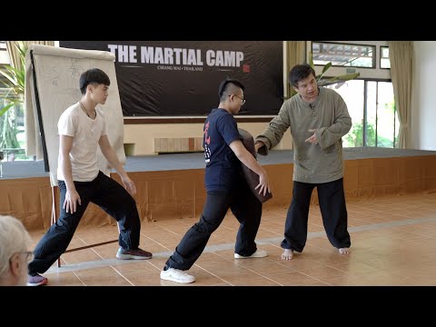 The Martial Camp 2023 - Video Highlights • Taiji Quan | Crane Style | 5 Ancestors Fist | Wing Chun