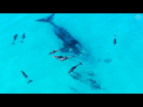 Jaimen Hudson - Pristine Esperance