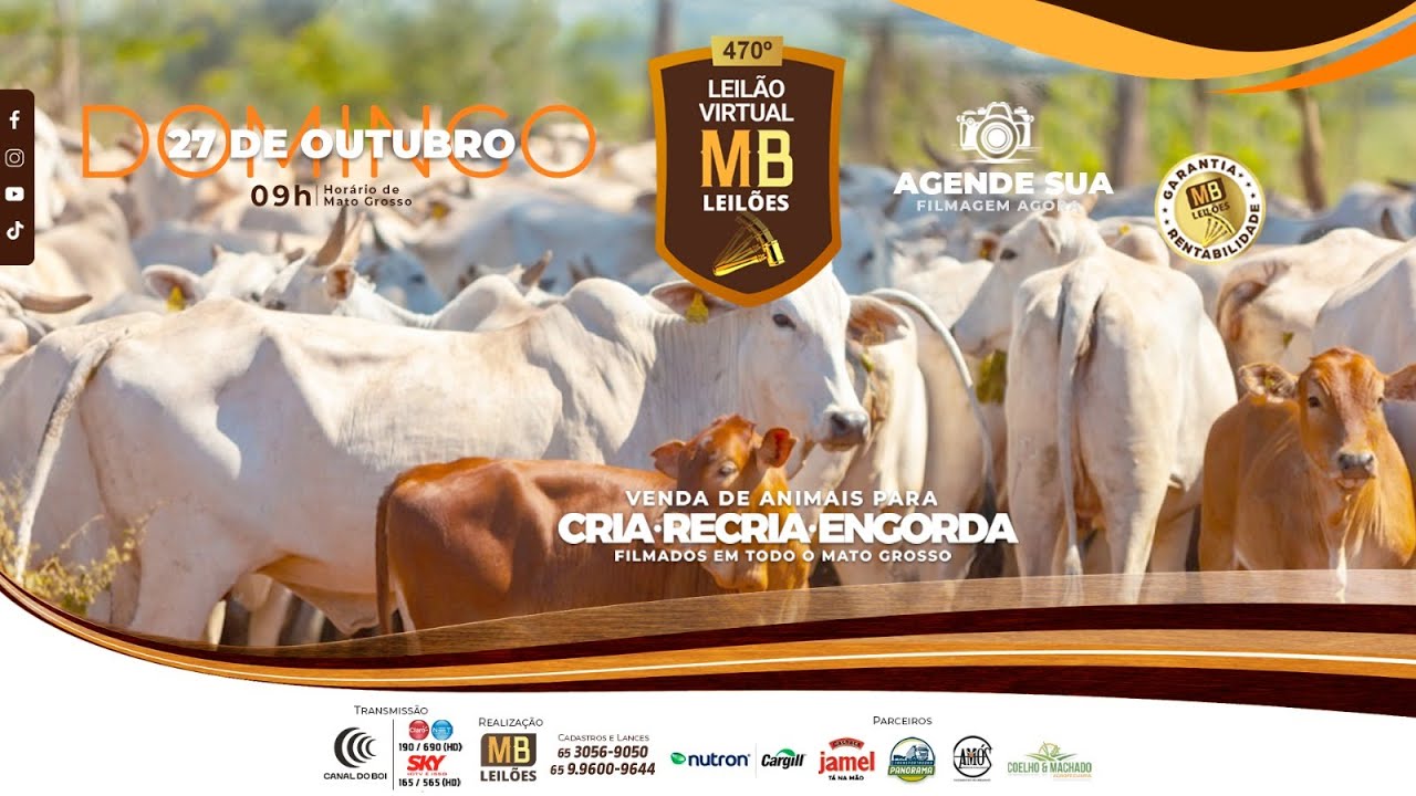 470° LEILÃO VIRTUAL - MB LEILÕES