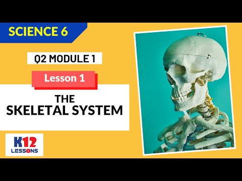 Science 6 Quarter 2 Module 1 Lesson 1 - The Skeletal System