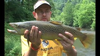 preview picture of video 'Elkhorn Creek, WV Wild Trout Fishing'