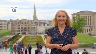 Curious Brussels - Preview