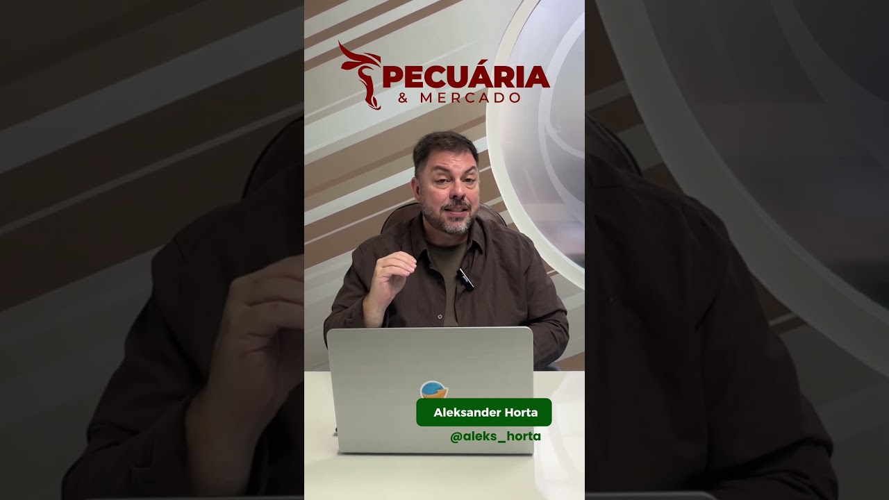 Preço da arroba tem novas atualizações #boigordo #pecuária #proteinasanimais  #notíciasagrícolas