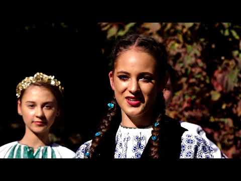 IOANA AGARBICEAN - TOATE ZILELE-S CU DOR