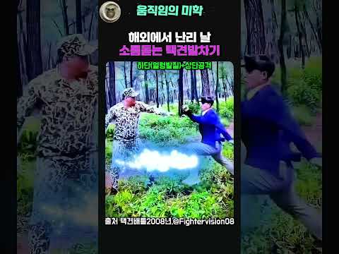 해외유투브에서 난리 날 택견시그니처 킥 #taekkyeon
