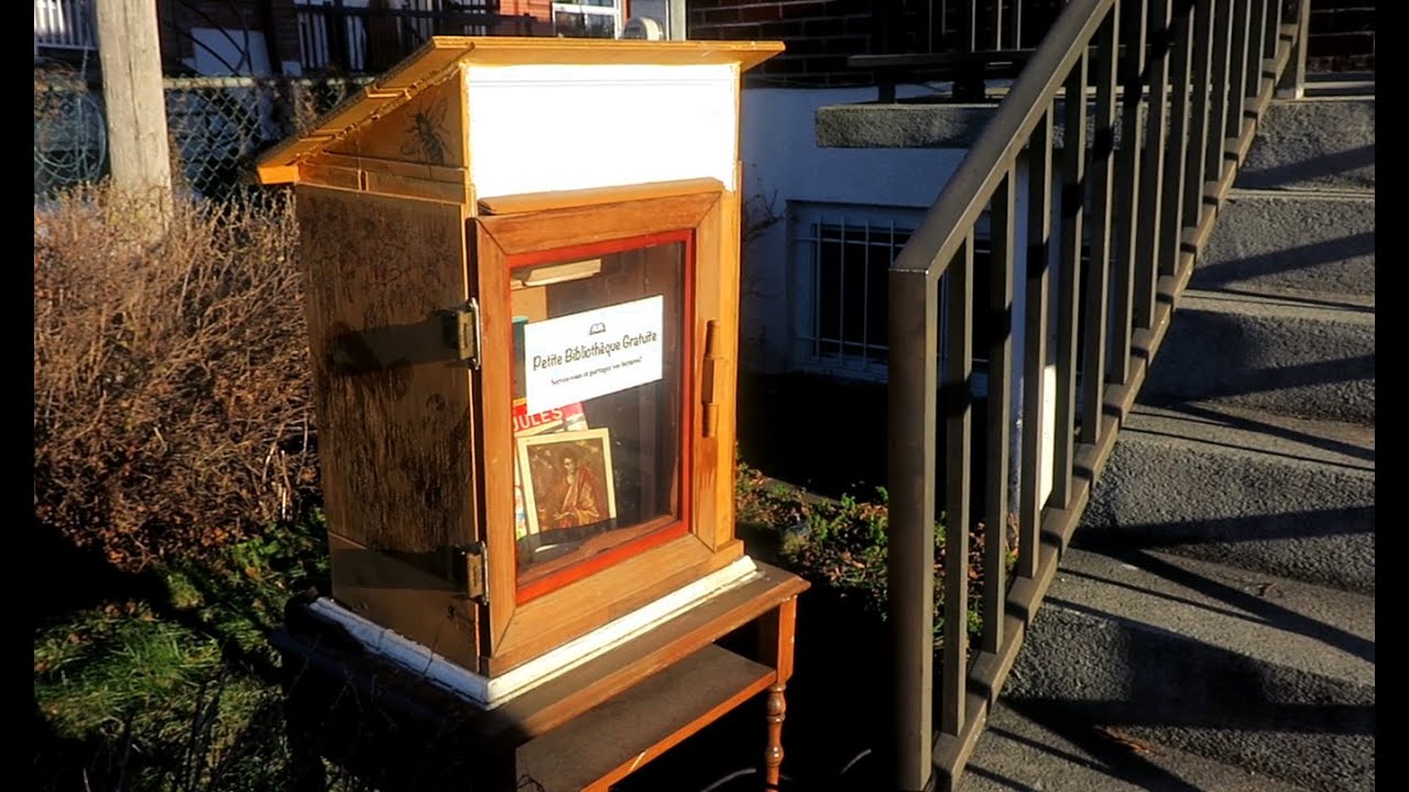 Montreal artist builds Little Free Library during the pandemic