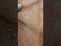 The Harsh Reality Of Artificial Leather Leather Artificialleather Harsh Peeling Trending