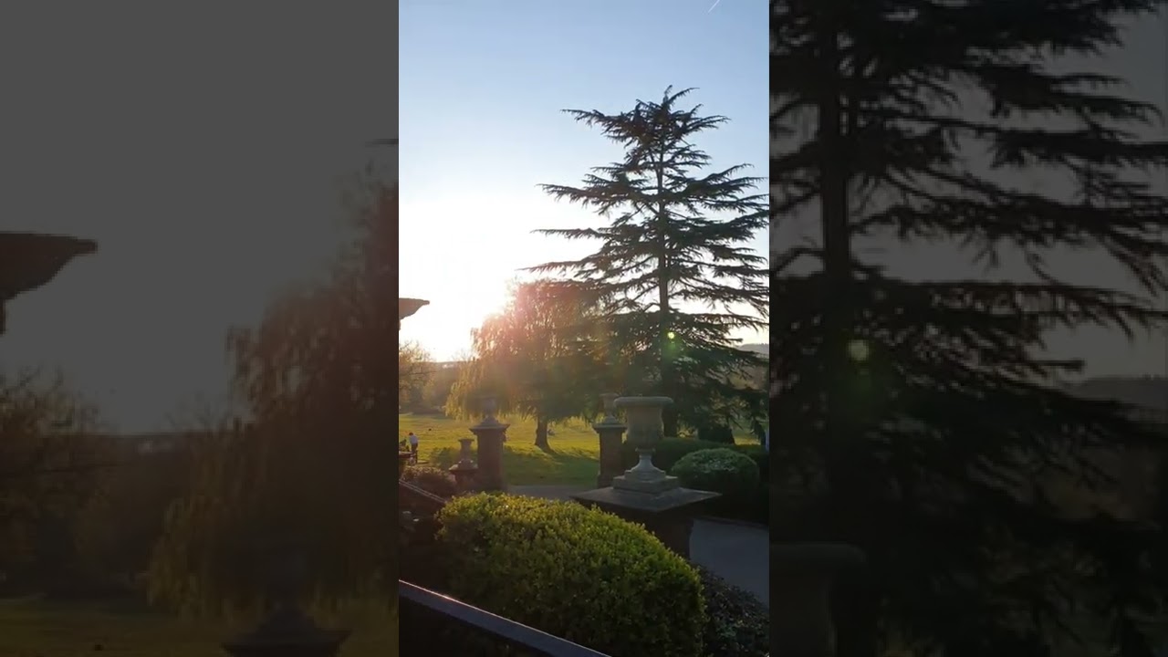 YouTube Short thumbnail