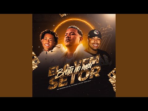 Ela Vem, Brota no Meu Setor