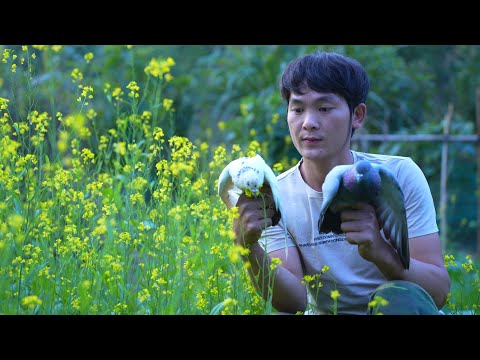 Das Leben einer Taube: Ich habe einst Tauben und jede Menge frisches Gemüse auf dem Markt verkauft.