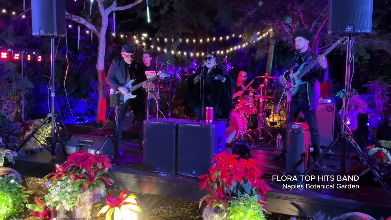 Promotional video thumbnail 2 for FLORA Top Hits Band