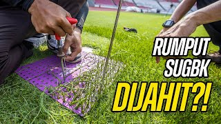 Download lagu ROAD TO FIFA MATCH DAY 2023 INDONESIA VS ARGENTINA: RUMPUT STADION UTAMA GBK DIJAIT?! KOK BISA? mp3