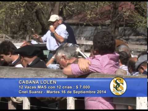 Lolen - Ventas Vacas MAS y PR - Campos y Ganados S.A.- 16/09/2014