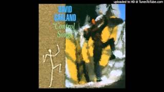David Garland - I Am An I-Beam Girder (Control Songs, 1986)