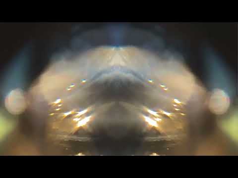 Golden Heron - The Sei