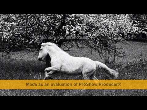 Eisva mudu abudu // Lithuanian folk song. HD