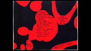 Legendary Pink Dots - Black Highway