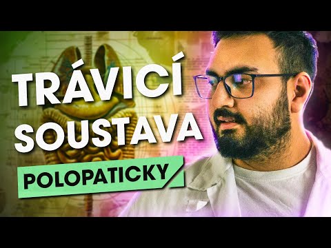 Anatomie Trávicí soustavy ...Polopaticky
