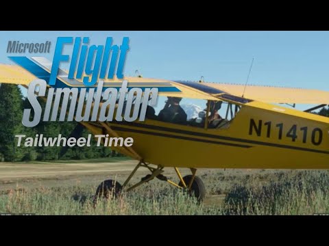 Flight Simulator 2020 - A Tailwheel Tutorial
