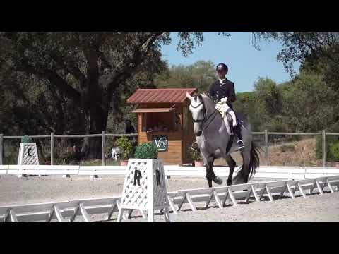 João Torrão & Maestro MVL - CDIYH YH 7 Final - 2023-04-16 Abrantes