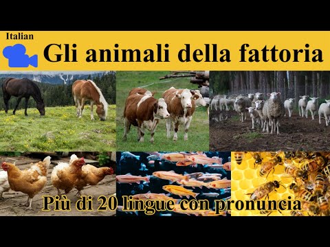 𝟒𝐊 𝐆𝐥𝐢 𝐚𝐧𝐢𝐦𝐚𝐥𝐢 𝐝𝐞𝐥𝐥𝐚 𝐟𝐚𝐭𝐭𝐨𝐫𝐢𝐚 𝐢𝐧 𝐈𝐭𝐚𝐥𝐢𝐚𝐧𝐨 / 𝐅𝐚𝐫𝐦 𝐀𝐧𝐢𝐦𝐚𝐥𝐬 𝐍𝐚𝐦𝐞 𝐢𝐧 𝐈𝐭𝐚𝐥𝐢𝐚𝐧 / 𝐏𝐨𝐜𝐚𝐛𝐨𝐥𝐚𝐫𝐢𝐨 𝐞 𝐩𝐫𝐨𝐧𝐮𝐧𝐜𝐢𝐚