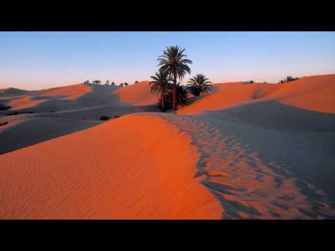Ferry Tayle feat Stephan R - Desert Storm