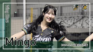 【韓国チア】Mingo 朴旻曙 박민서 | Wing Stars | 嗆司曲 氣蓋山河 + MPV舞蹈 [中文歌詞]