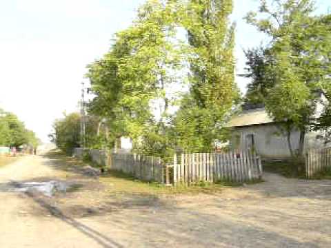 Scutari...la limitele normale!