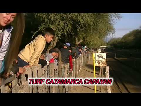 TURF CATAMARCA CAPAYAN OLIVIA 230 Mts.