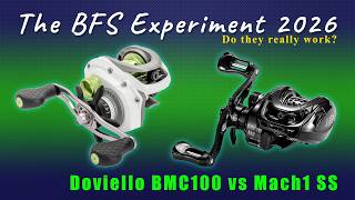BFS Reel Experiment 2026