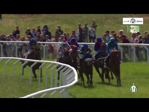 100 Years Sheikh Zayed Cup - Gärdet, Sweden - June 6, 2018