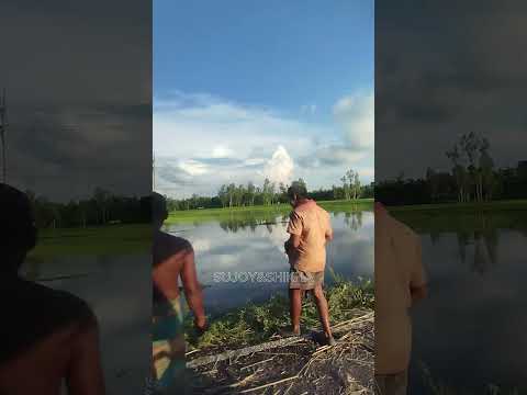 Beautiful Girl & Nature Views | Road Trip in the Countryside |  #sujoyshikhavlogs |