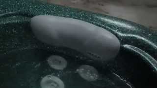 Maax or Coleman Spa Hot Tub Pillow American Spa Parts How To Series