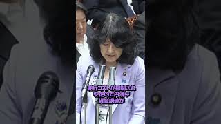 ＃参政党安藤議員 #片山財務大臣＃プライマリーバランスの黒字化＃市場の信認＃経済＃国民の赤字