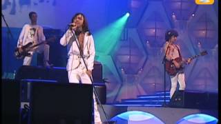 Babasónicos, Irresponsable, Festival de Viña 2005