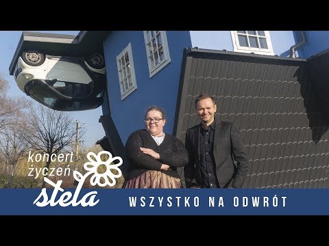 Koncert Życzeń Stela - Chvaściu & New Concept- Dinozaury feat. FRYTT