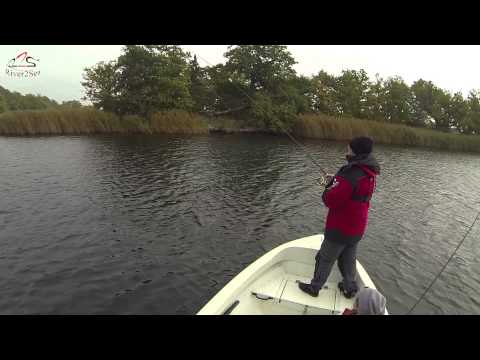 Hechtangeln in Schweden mit Rig Walker von River2Sea