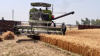 Download lagu Kartar 4000 harvester combine | harvesting and dropping wheats 🌾 in the trolley mp3 Download lagu Kartar 4000 harvester combine | harvesting and dropping wheats 🌾 in the trolley mp3