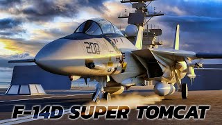 The U.S. Navy's F-14D Super Tomcat Might Still Be Flying Today