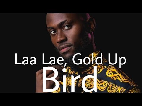 Laa Lee, Gold Up- Bird ( Lyrics)