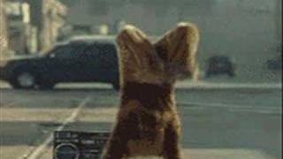 Seventh Wonder - Captain Of My Ship