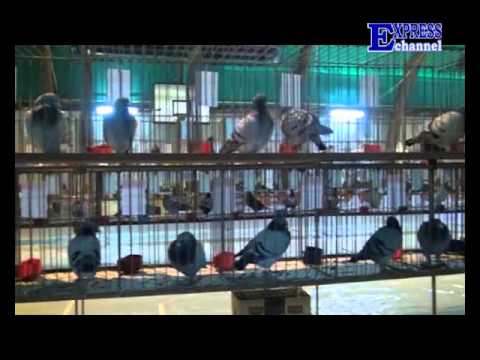 Okom kamere - 4. emisija