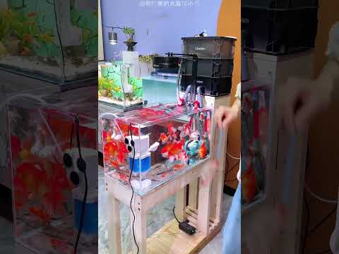 Genius Way To Clean Fish tank