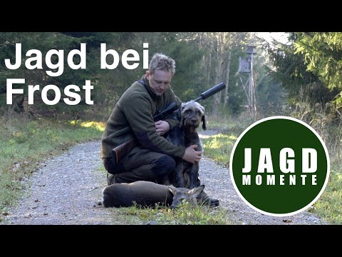 Hunting Moments | Episode 19 | Hunting in Frost