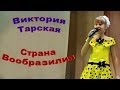 "Страна Вообразилия" 