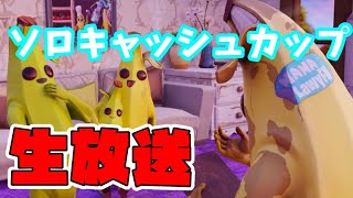 【フォートナイト】ソロ　キャッシュカップ　LIVE配信