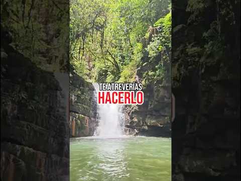 Te atreverías HACEELO #lobonitodeecuador #gualaquizaecuador🇪🇨 #moronasantiago #rafting #cascadas