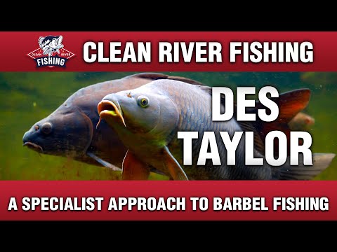CRP040 DES TAYLOR - A SPECIALIST APPROACH TO BARBEL FISHING